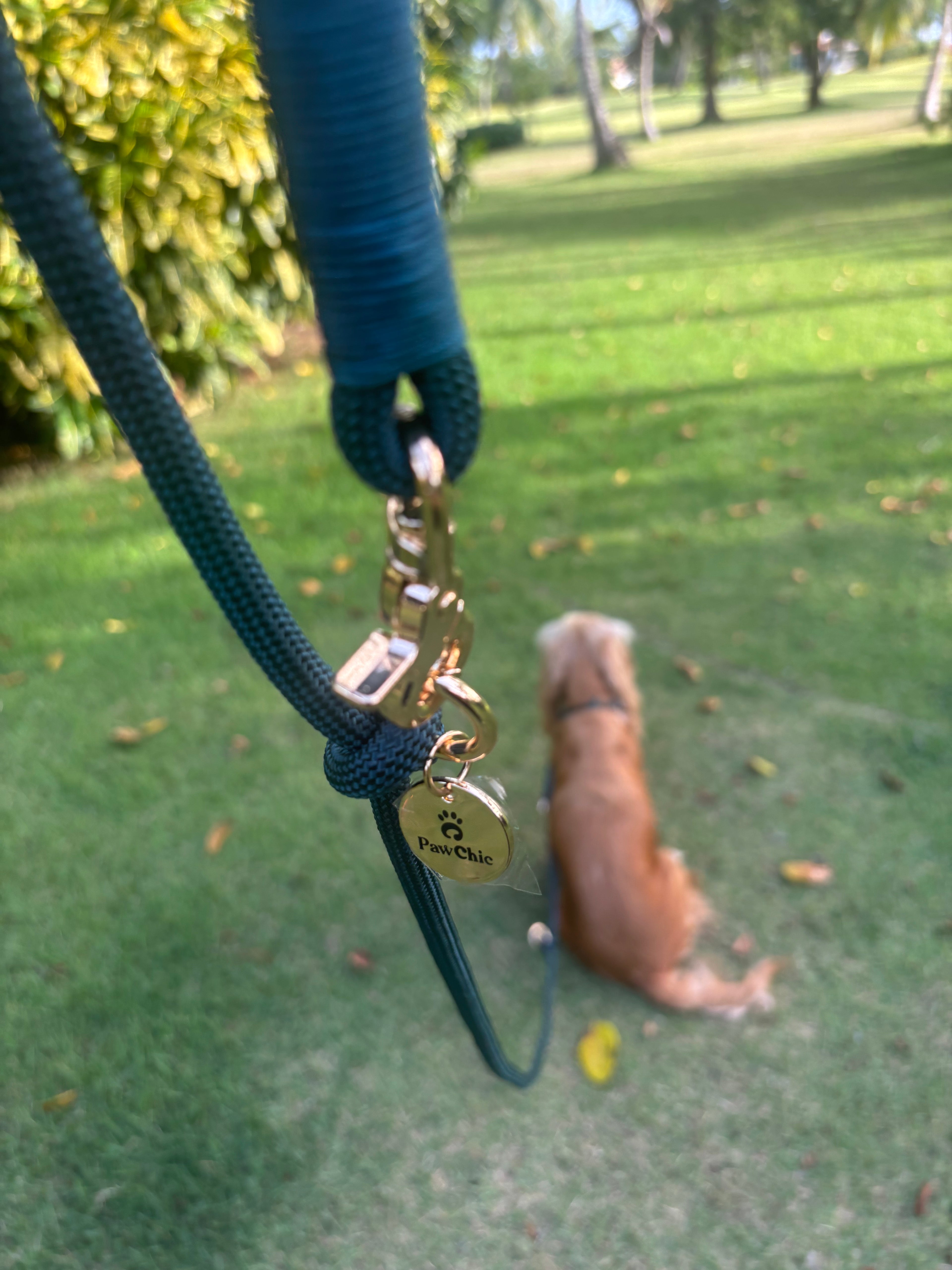 Correas Multifuncional