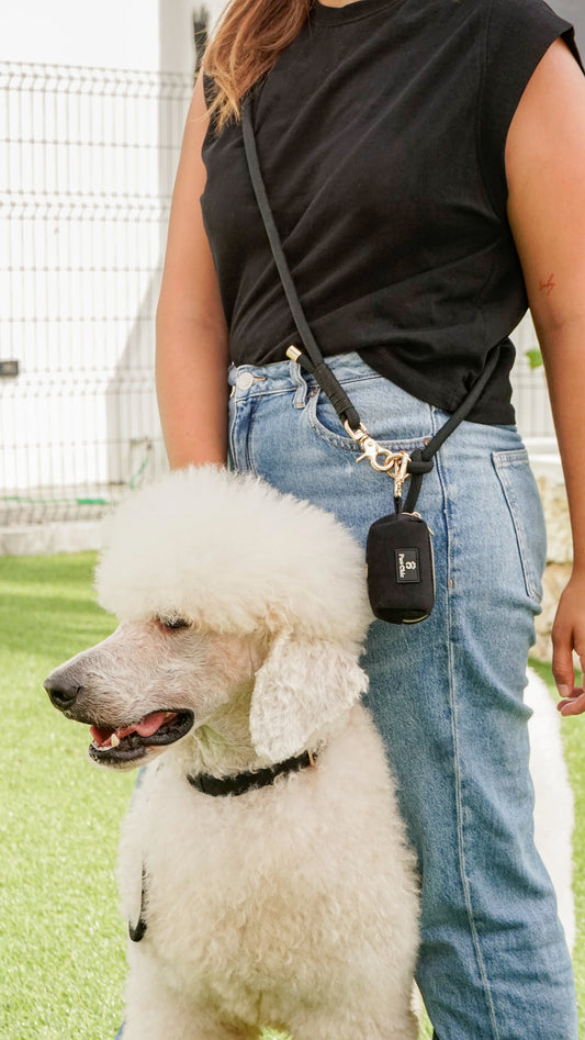 Woman with fluffy white poodle and black dog waste bag holder, pet accessories outdoors
