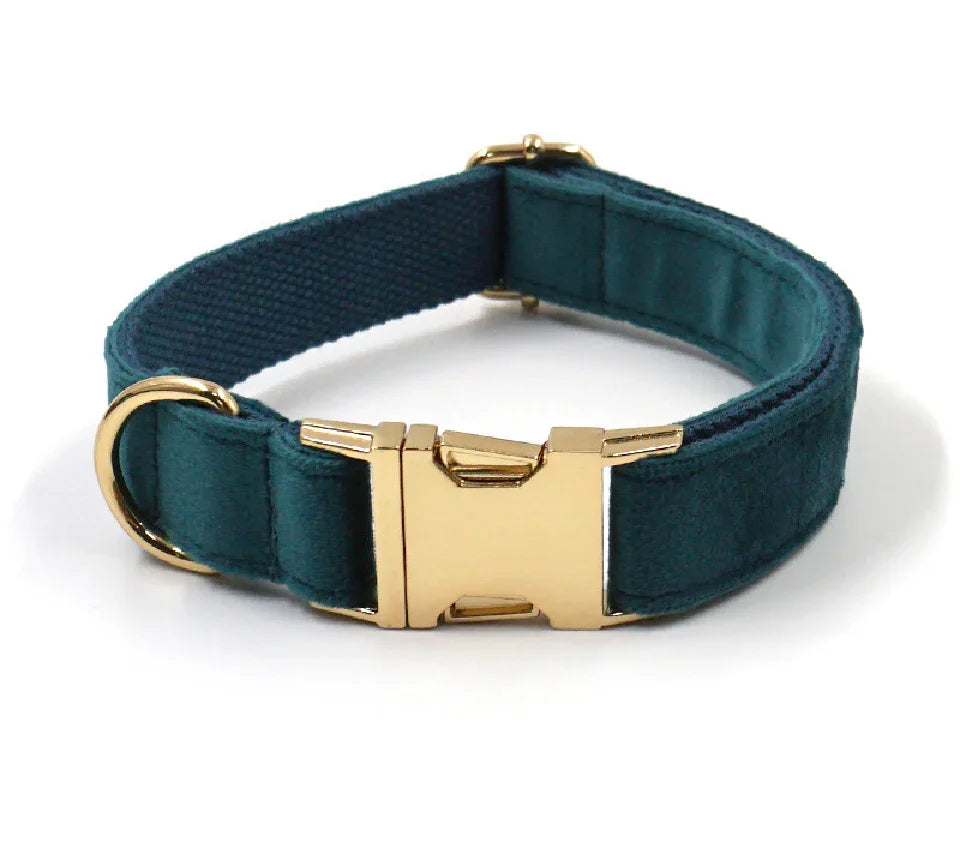 Teal velvet dog collar with gold metal buckle and D-ring, stylish pet accessory