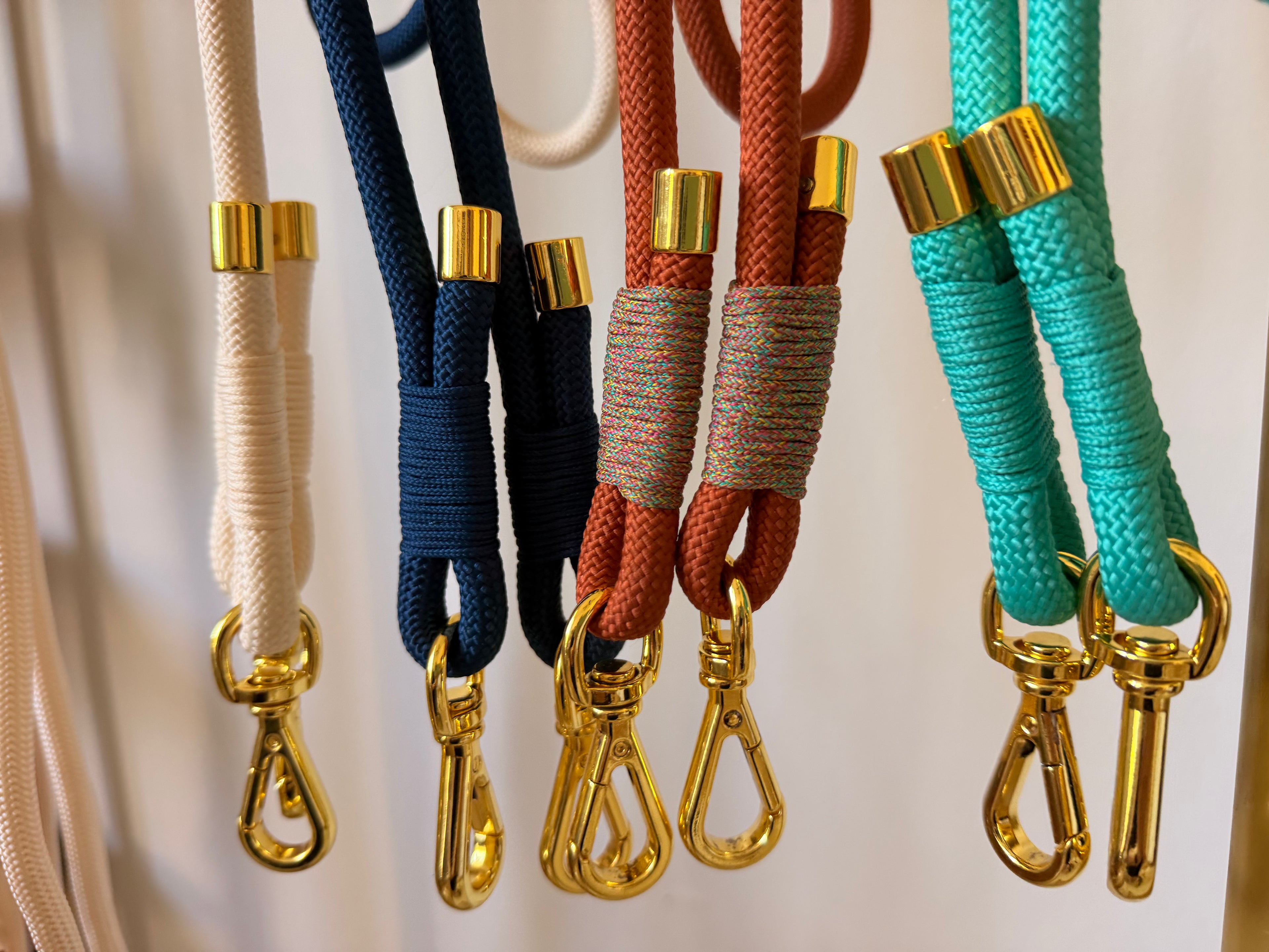 Colorful dog leashes with gold clasps, pet accessories display, stylish braided ropes