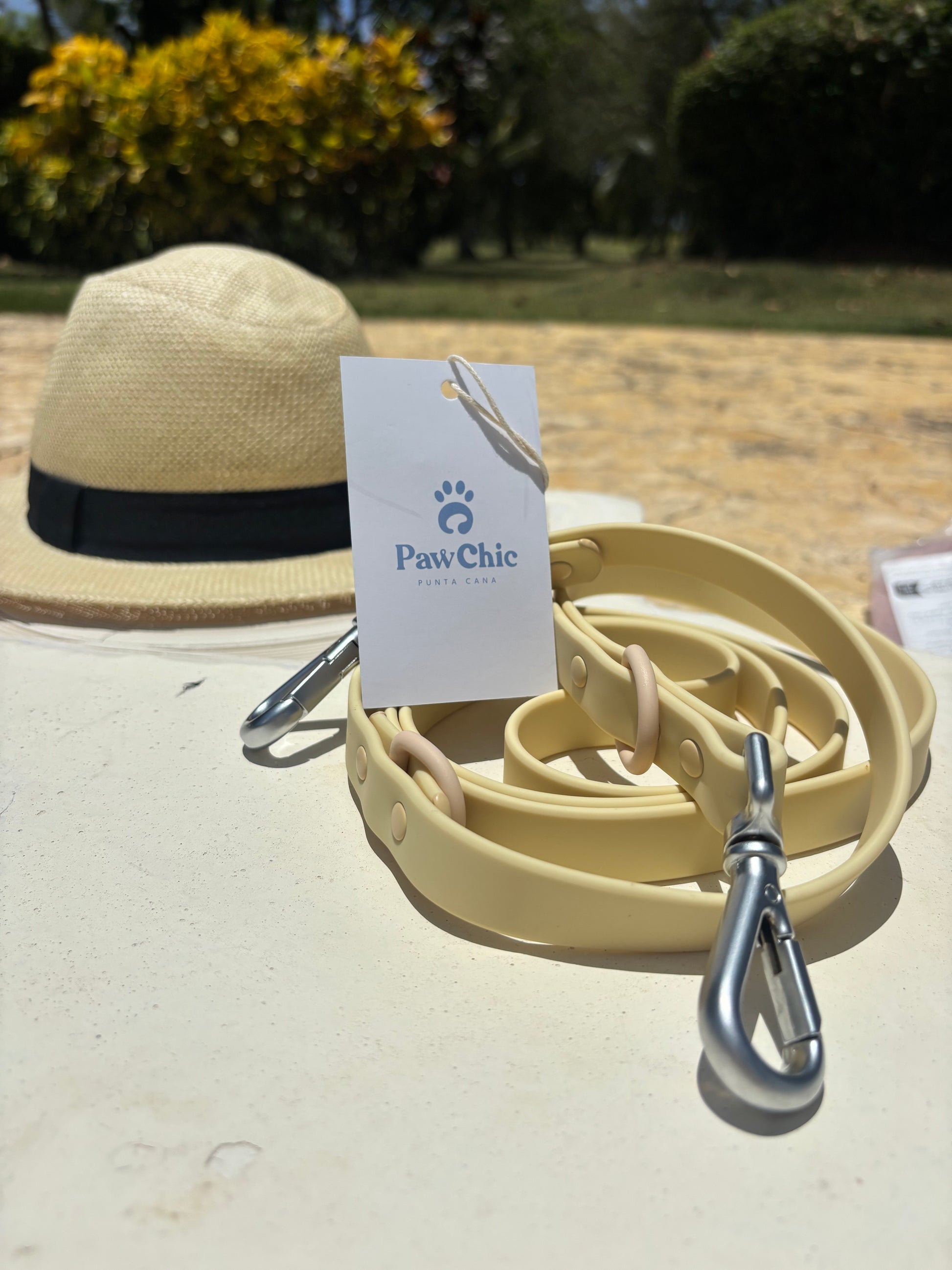 Beige dog leash with metal clasp, PawChic Punta Cana tag, outdoors on a sunny day