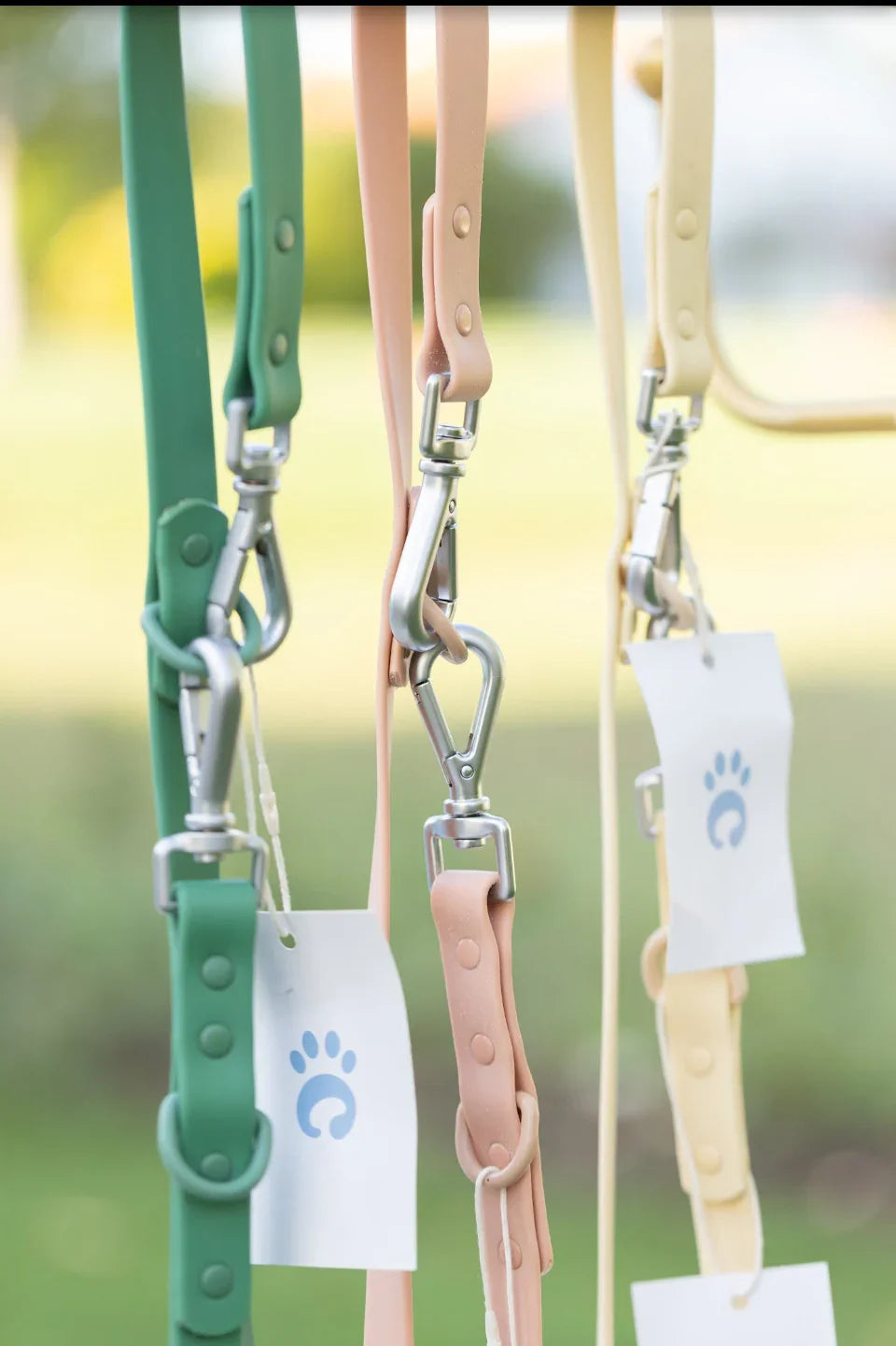 Colorful silicone dog leashes with metal clasps hanging outdoors, pet accessories